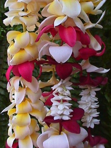 plumeria lei 2
